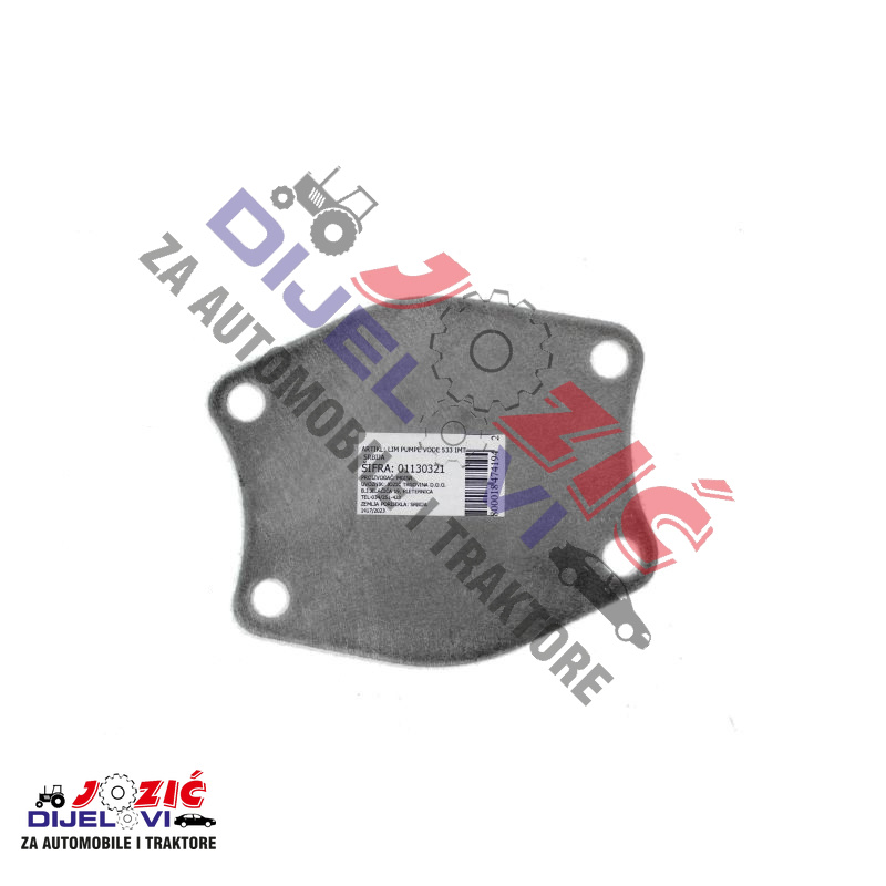 Daisy on the Ohoopee